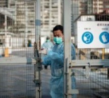 Chicken off menu as Hong Kong culls 20,000 birds in H7N9 scare